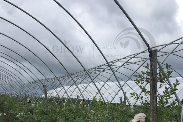 Überkopf-Hagelschutzsystem für Obstgärten